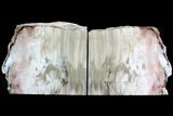 Gorgeous, Tall Petrified Wood (Sequoia) Bookends - Nevada #86222-1
